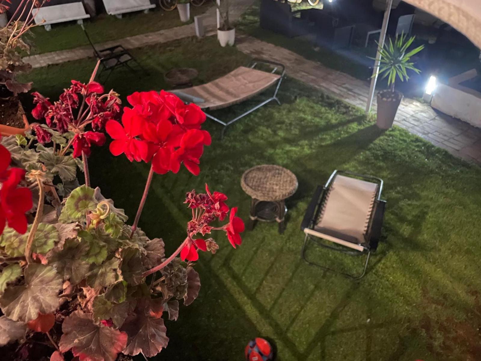 Solaris Paestum Bed & Breakfast Exterior photo